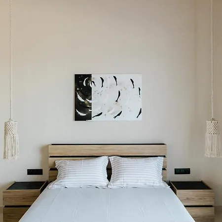 فيلة Tempestini Exclusive